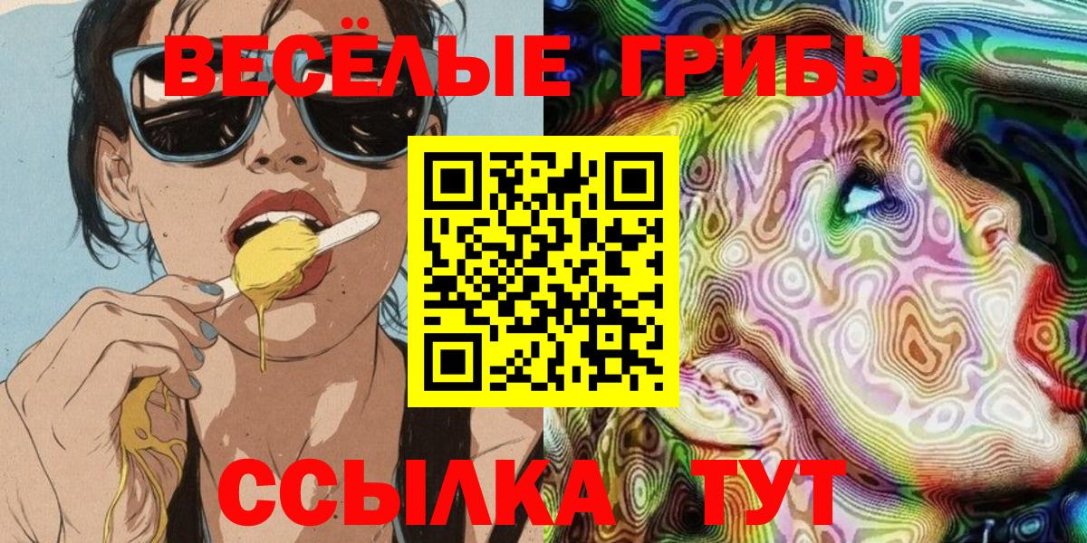 Ярославль  Псилоцибиновые грибы GOLDEN TEACHER  Вход с VPN 